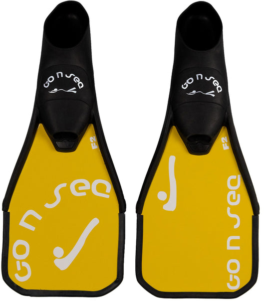Hockey subaquatique Carbone