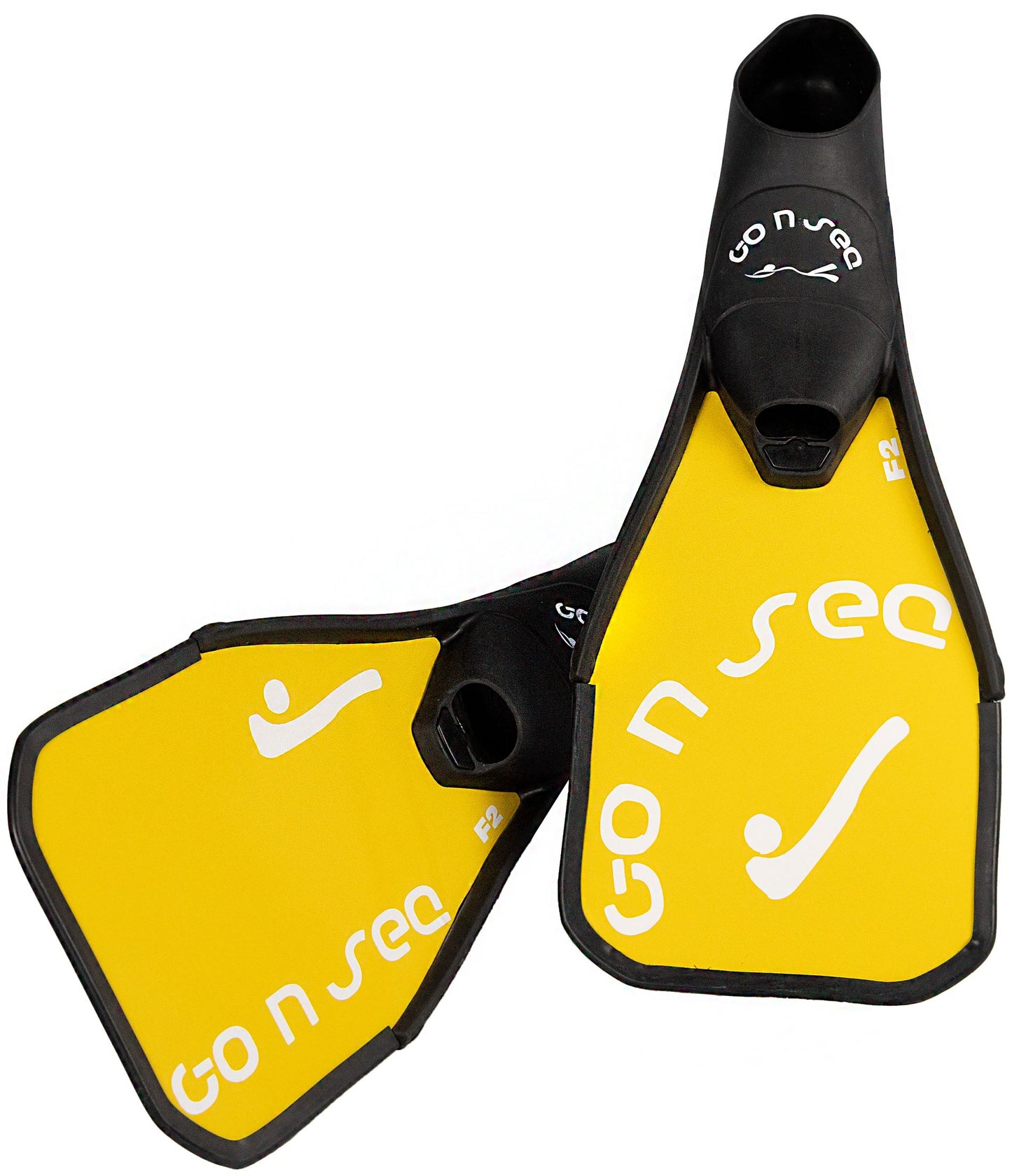 Hockey subaquatique Carbone