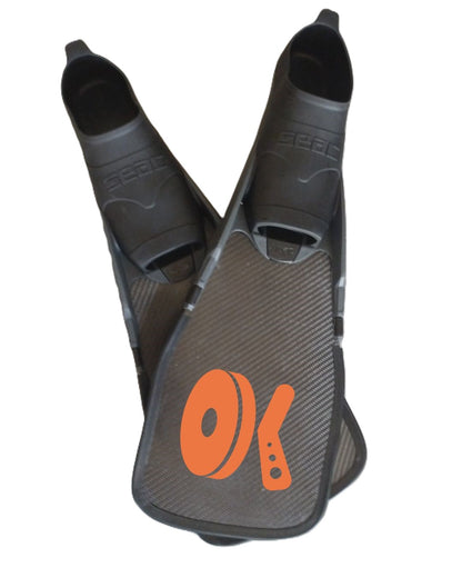 Hockey subaquatique Carbone